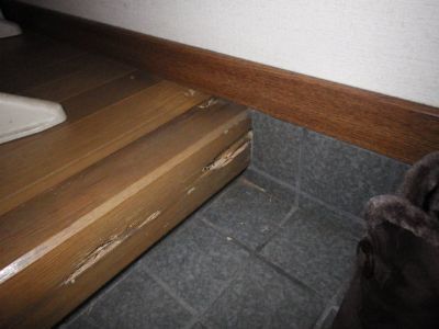 玄関框 被害