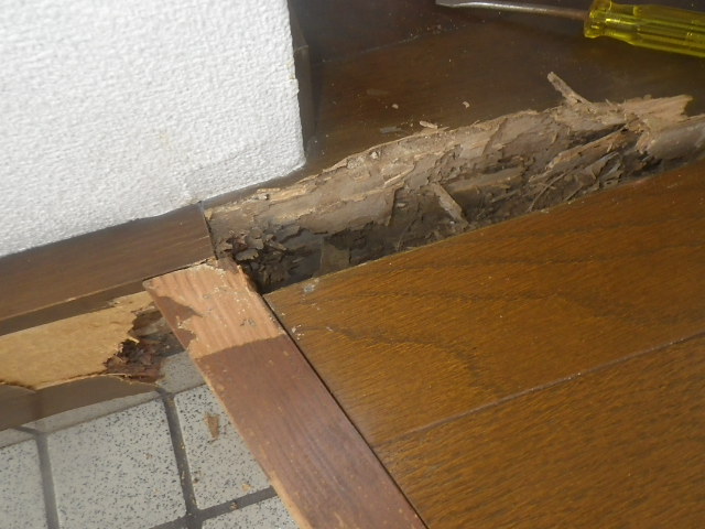 玄関部 被害