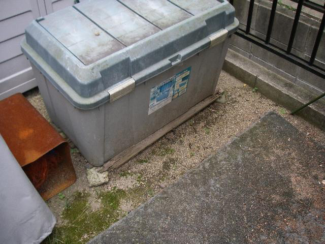 木製すのこ被害