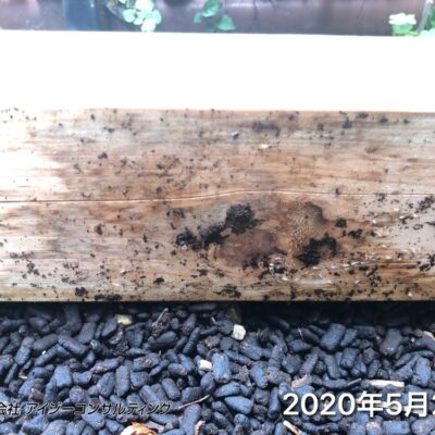 桧材 2020年5月27日
