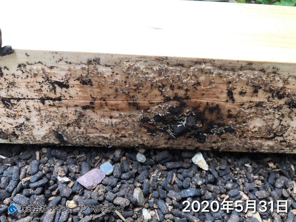 2020年5月31日