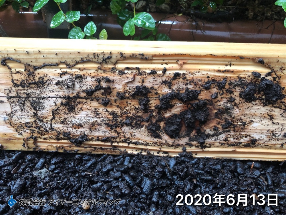 2020年6月13日