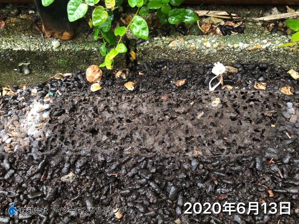 2020年6月13日