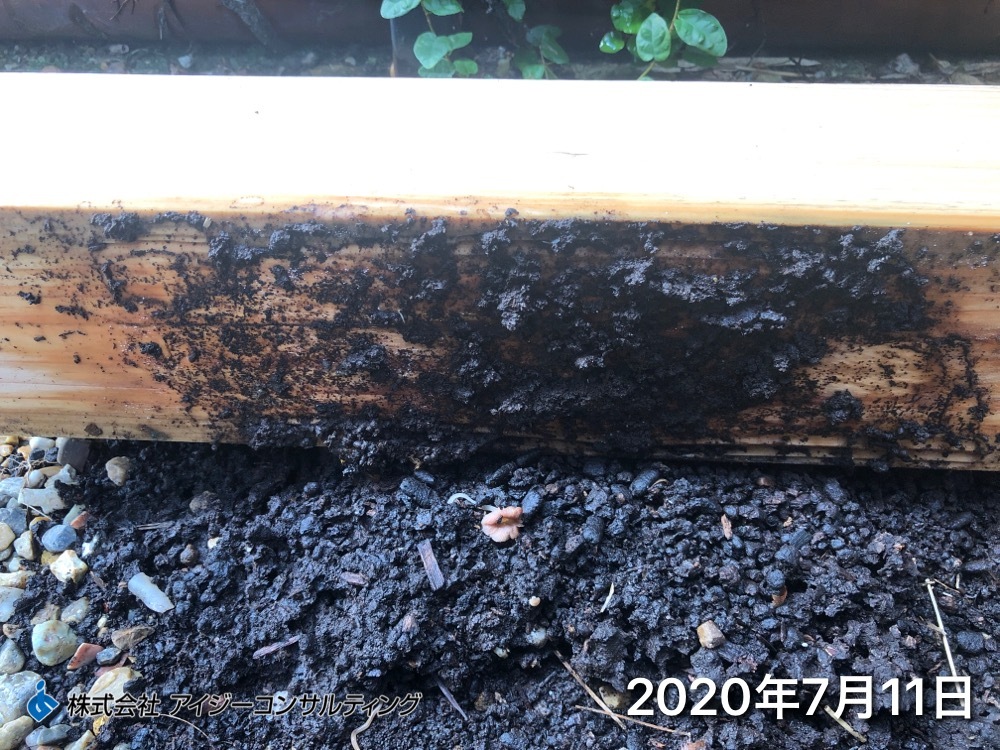 2020年7月11日