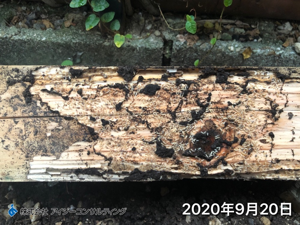 2020年9月20日